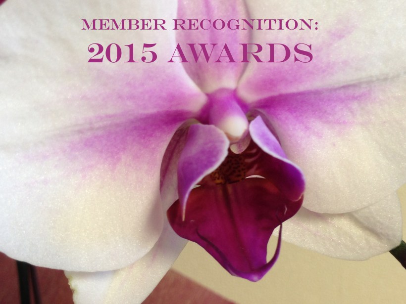 IMG_5100 Copyright Shelagh Donnelly